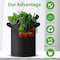 Ipower Grow Bag 20 gallon 10 pack with green edge, 10PK GLGROWBAG20X5EGRNX2 - alternate 4